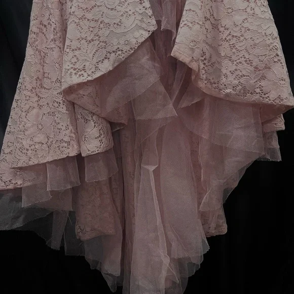 Ina Blush Lace Dress - Picture 3 of 5